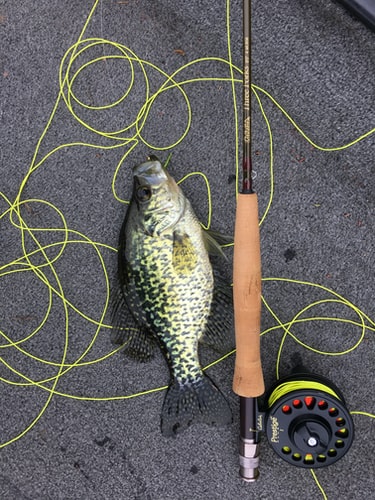 Best all around fishing rod and reel combo