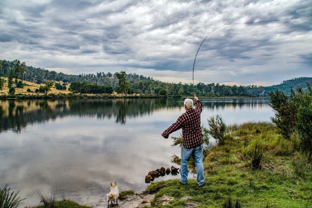 difference between baitcaster and spinning reel
