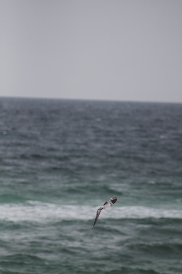 Best and worst states for fishing Florida
