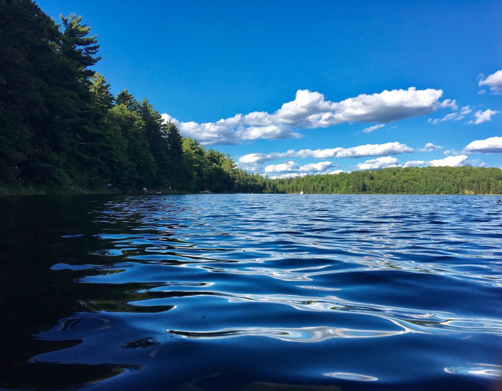best bass fishing lakes in wisconsin