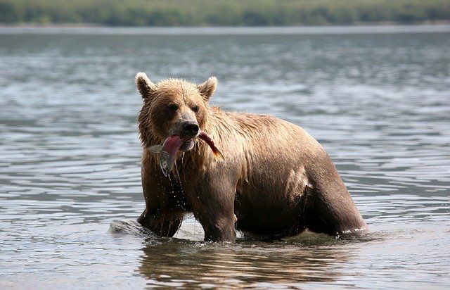 best place to fish salmon in Alaska