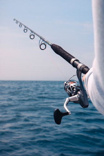 Best Beach Casting Rod