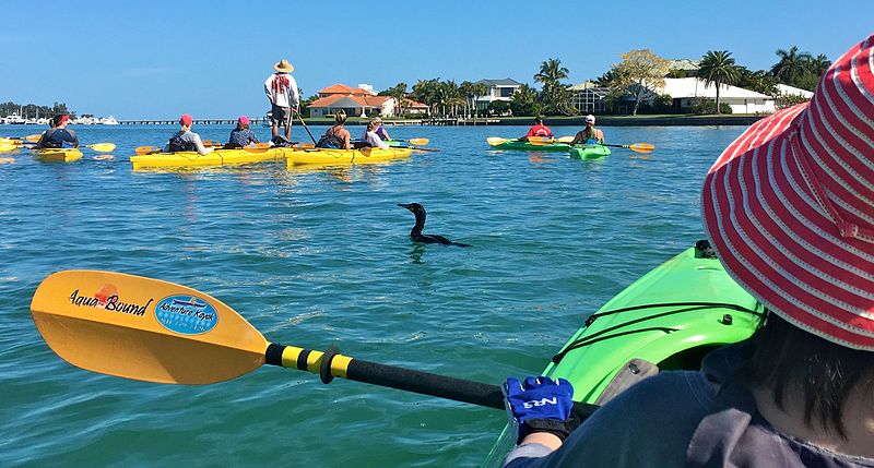 Fishing Kayaks You Can Stand up In