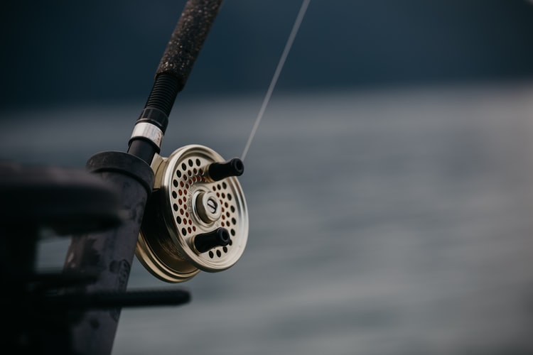Best Grease for Fishing Reels