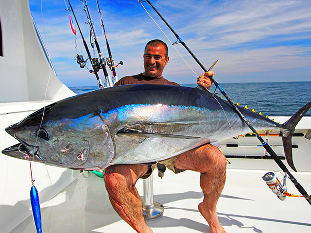 where to catch bluefin tuna