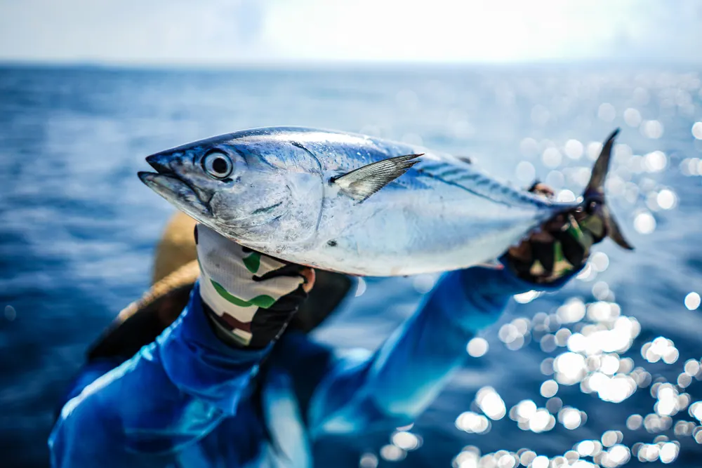 The Best Rods For Tuna Fishing — An Excellent Review