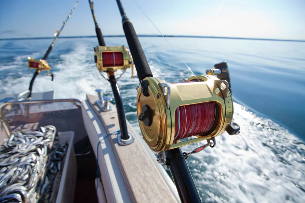 The Best Halibut Fishing Rod And Reel Setup